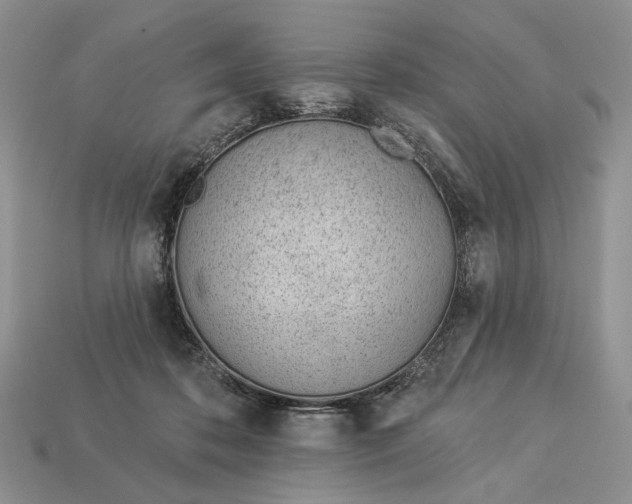 X0000112980316200909171343
