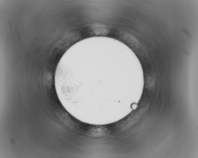 X0000112980321200909171343