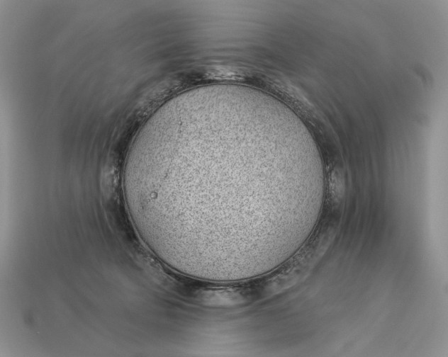 X0000112980322200909171343
