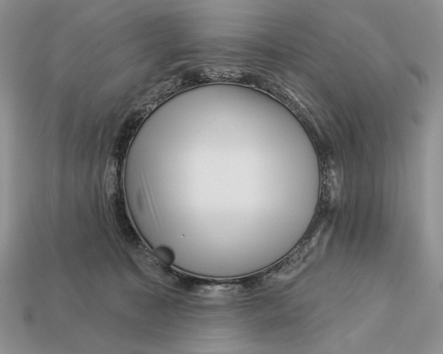X0000112980323200909171343