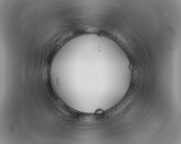 X0000112980325200909171343