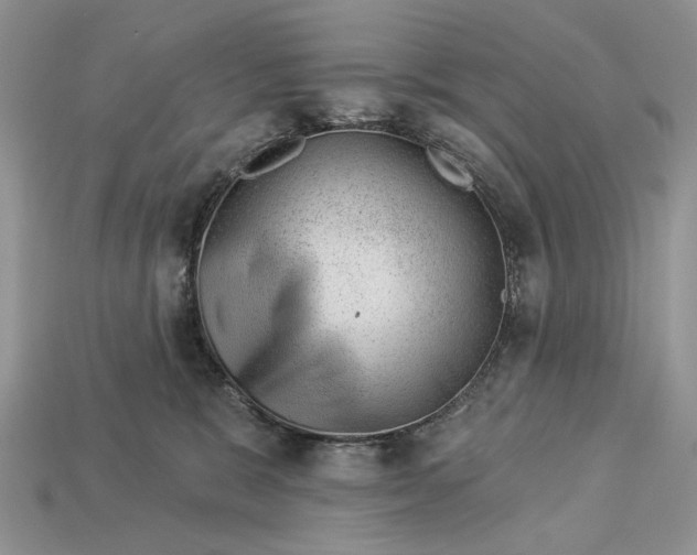X0000112980327200909171343