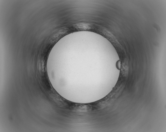 X0000112980330200909171343