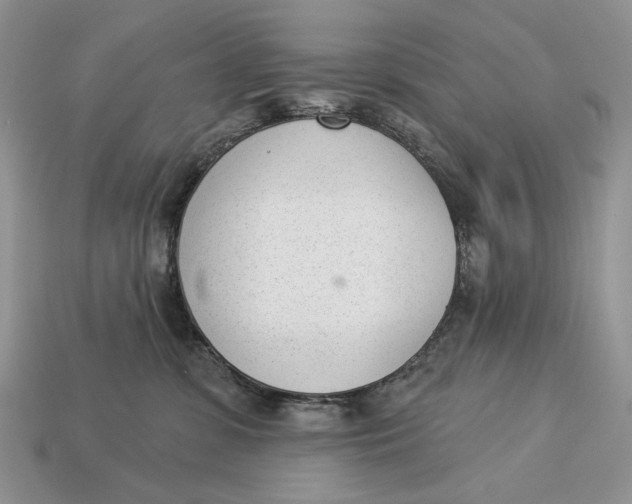 X0000112980331200909171343