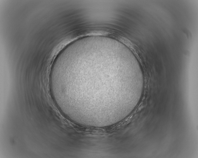 X0000112980337200909171343