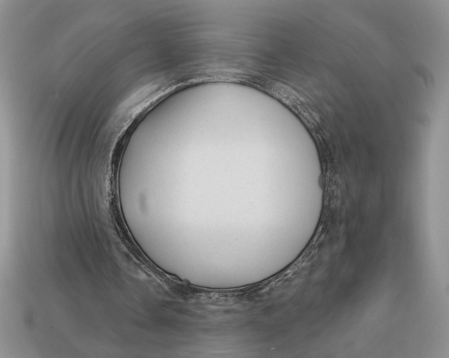 X0000112980338200909171343