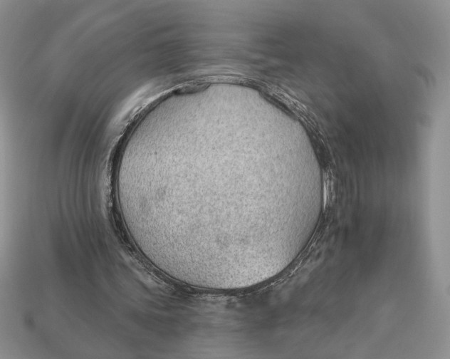 X0000112980339200909171343