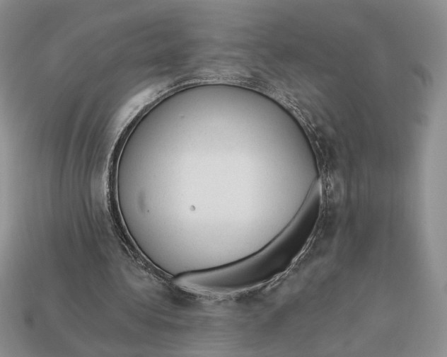 X0000112980340200909171343