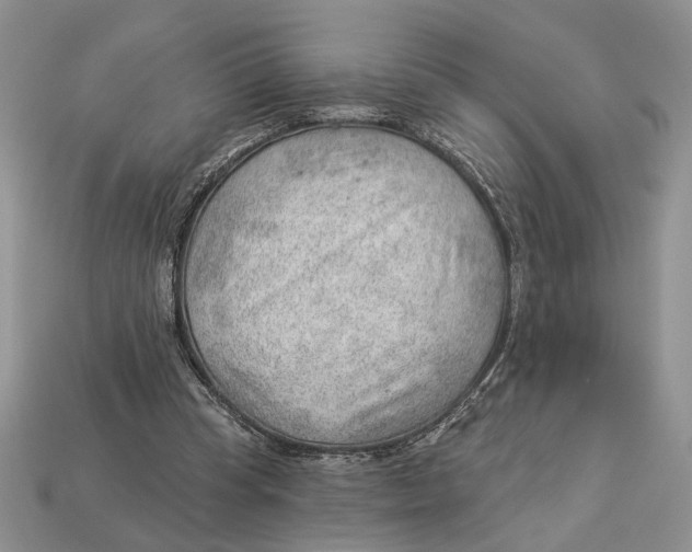 X0000112980345200909171343