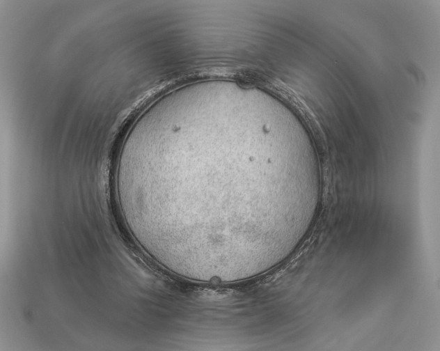 X0000112980346200909171343