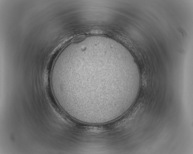 X0000112980347200909171343