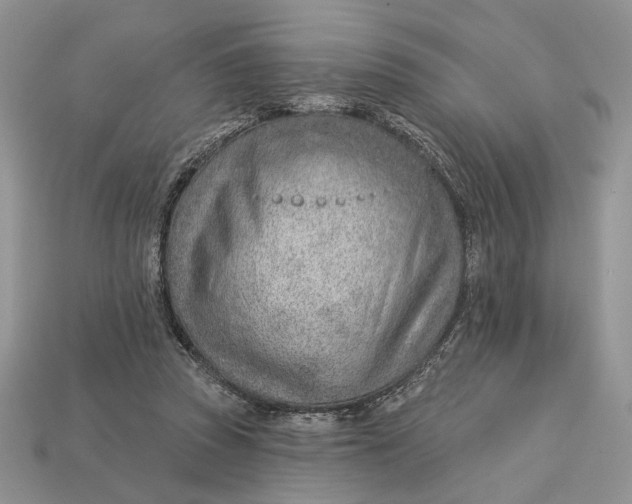 X0000112980353200909171343
