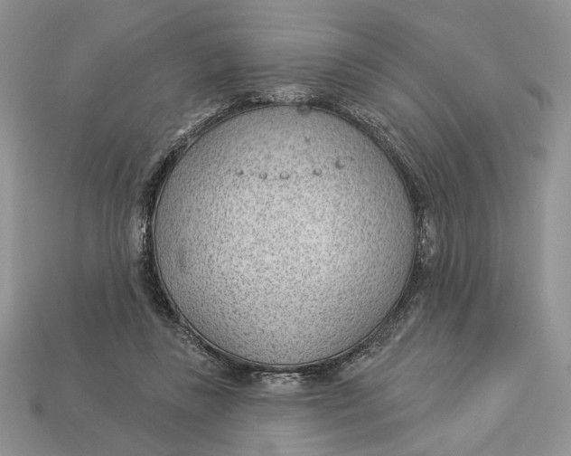 X0000112980355200909171343