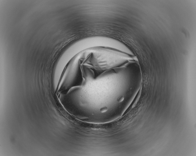 X0000112980360200909171343