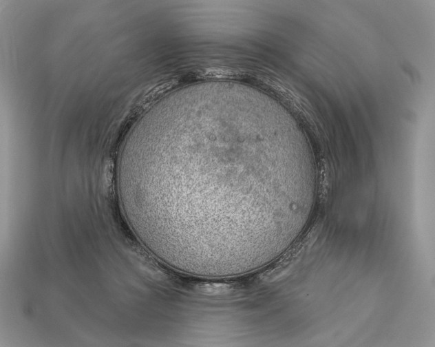 X0000112980361200909171343