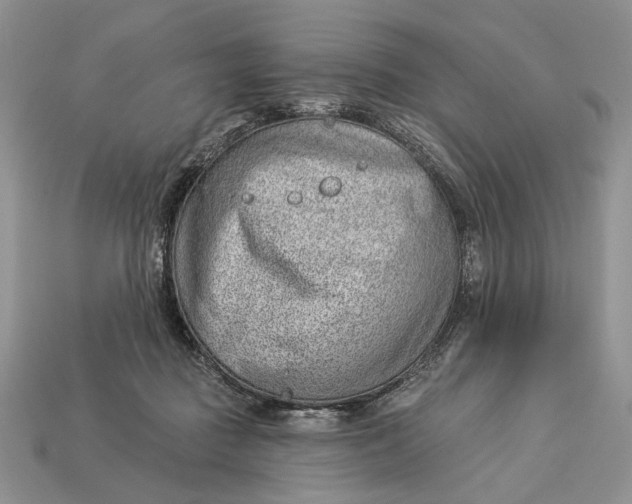 X0000112980363200909171343