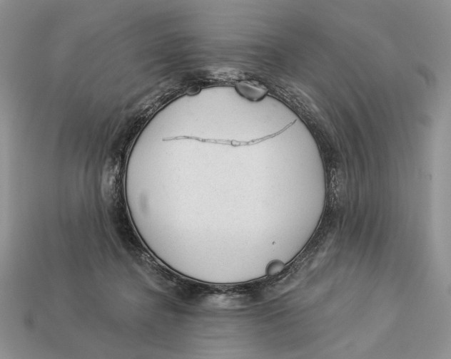 X0000112980364200909171343