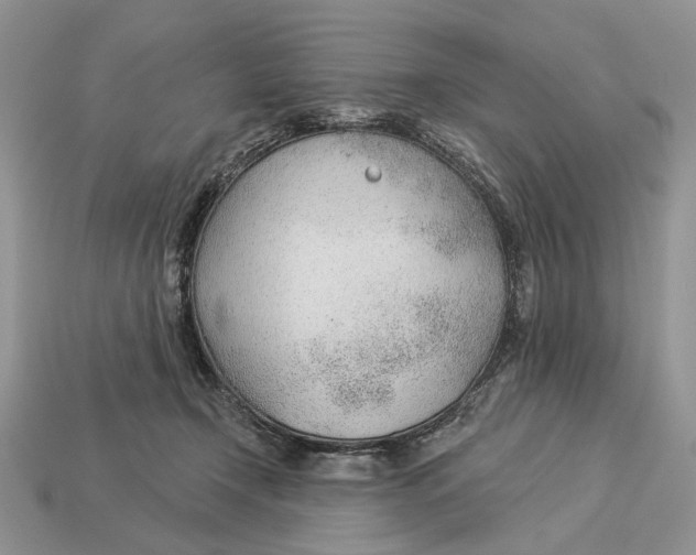 X0000112980366200909171343