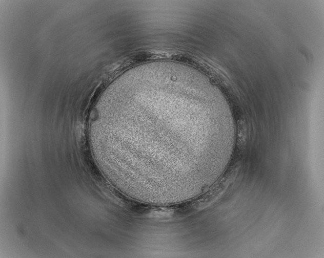 X0000112980369200909171343