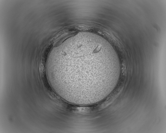 X0000112980371200909171343