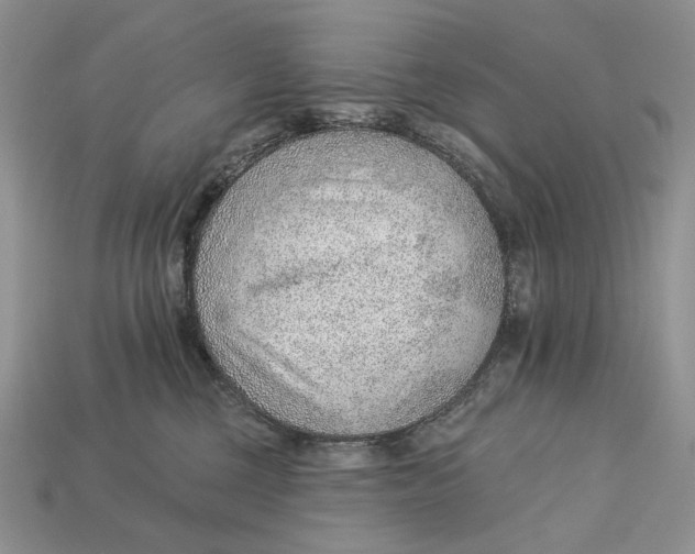 X0000112980377200909171343