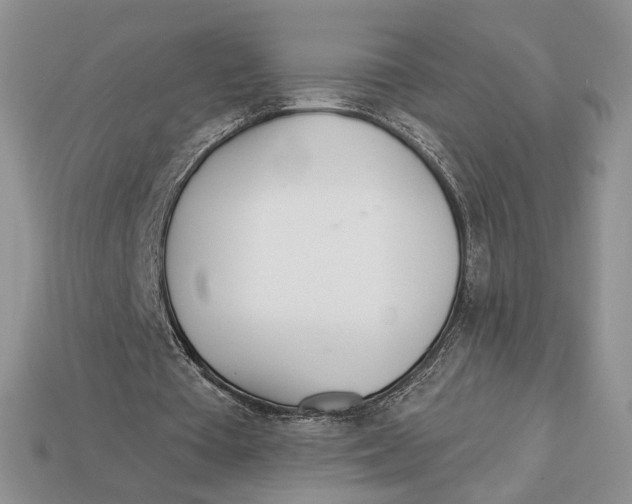 X0000112980385200909171343