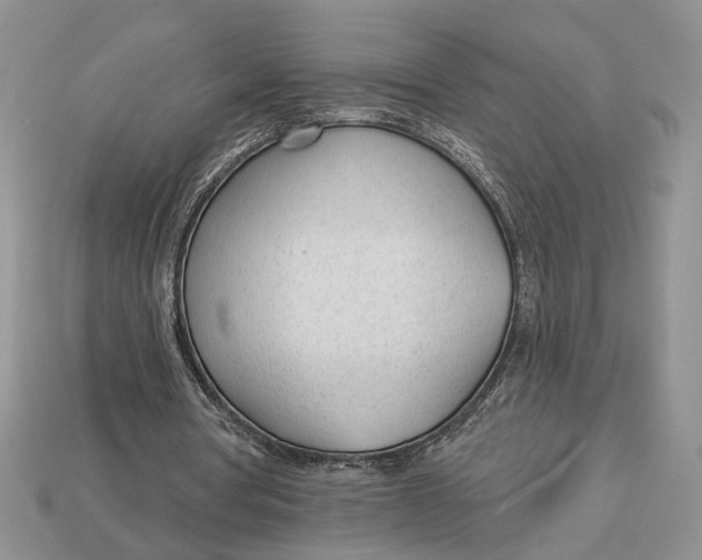 X0000112980386200909171343