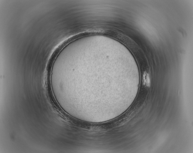 X0000112980388200909171342