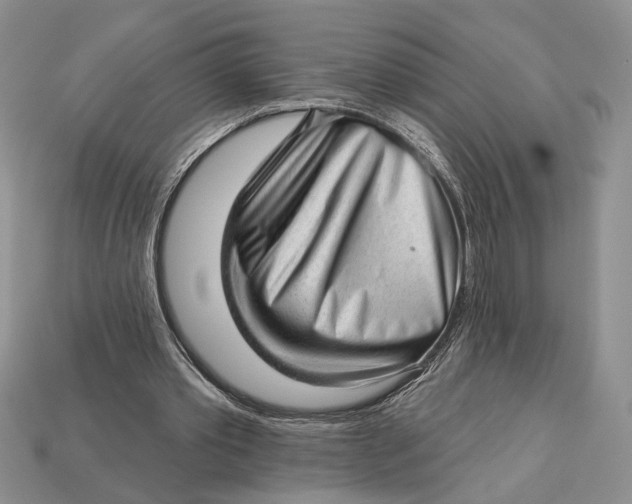 X0000112980389200909171342