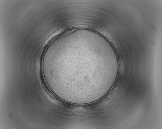 X0000112980390200909171342