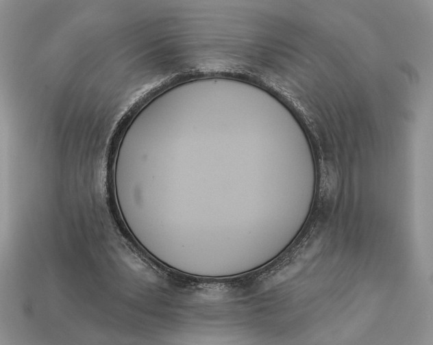 X0000112980391200909171342