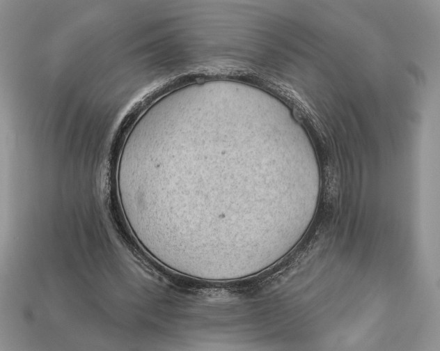 X0000112980392200909171342