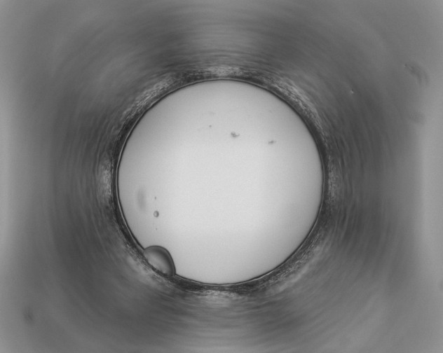 X0000112980393200909171342