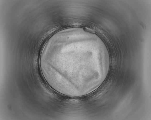 X0000112980394200909171342