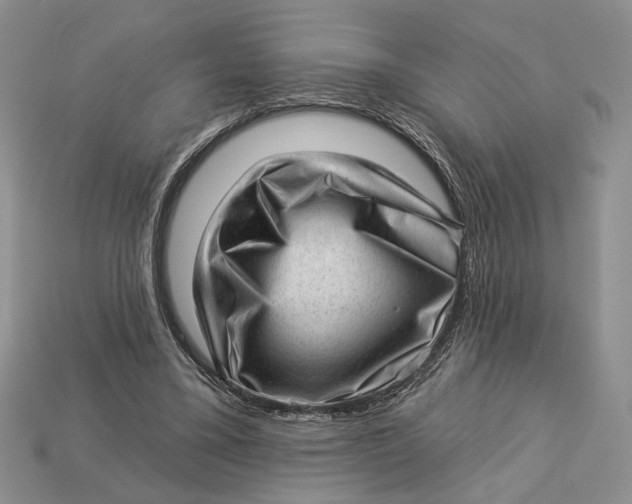 X0000112980395200909171342