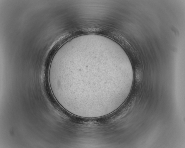 X0000112980396200909171342