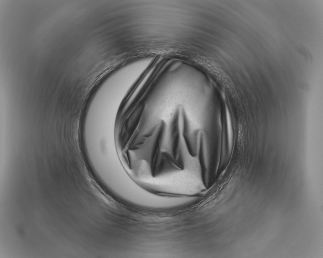 X0000112980397200909171342