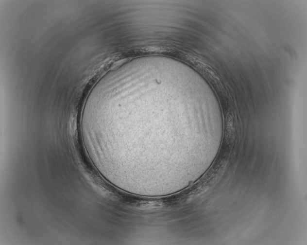 X0000112980398200909171342
