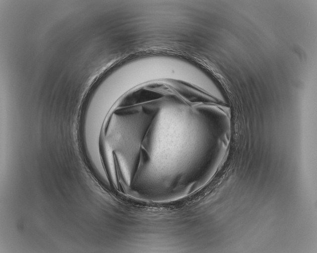 X0000112980399200909171342