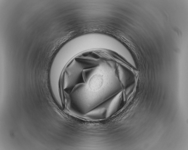 X0000112980401200909171342