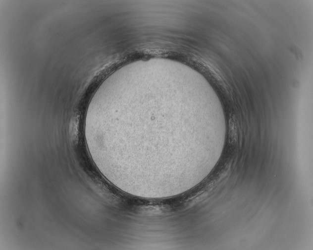 X0000112980404200909171342
