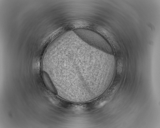 X0000112980405200909171342