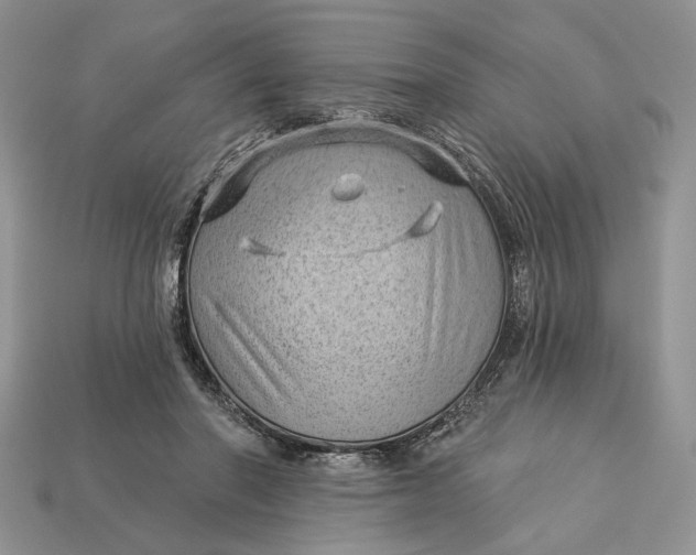 X0000112980406200909171342