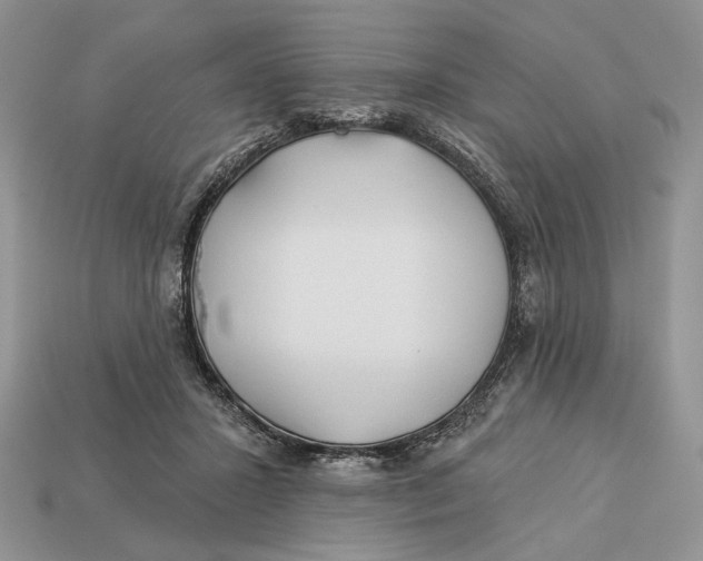 X0000112980407200909171342