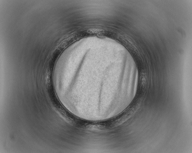 X0000112980408200909171342