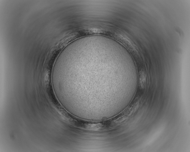 X0000112980410200909171342