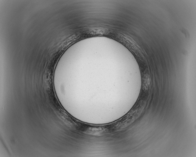 X0000112980414200909171342