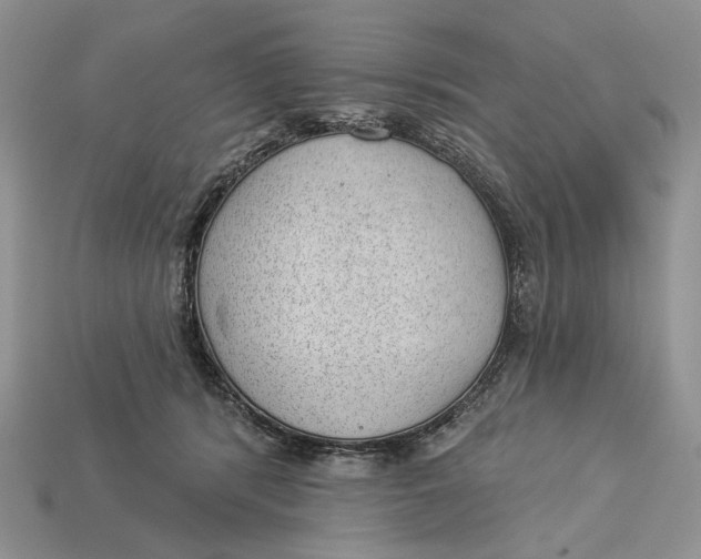 X0000112980416200909171342