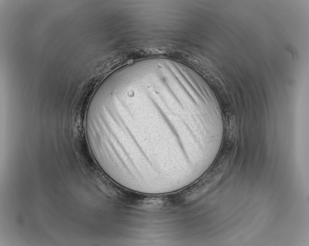 X0000112980418200909171342