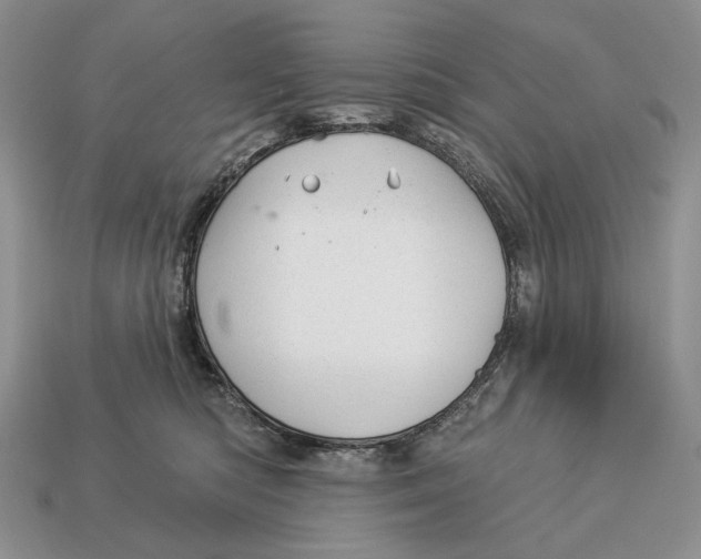 X0000112980422200909171342